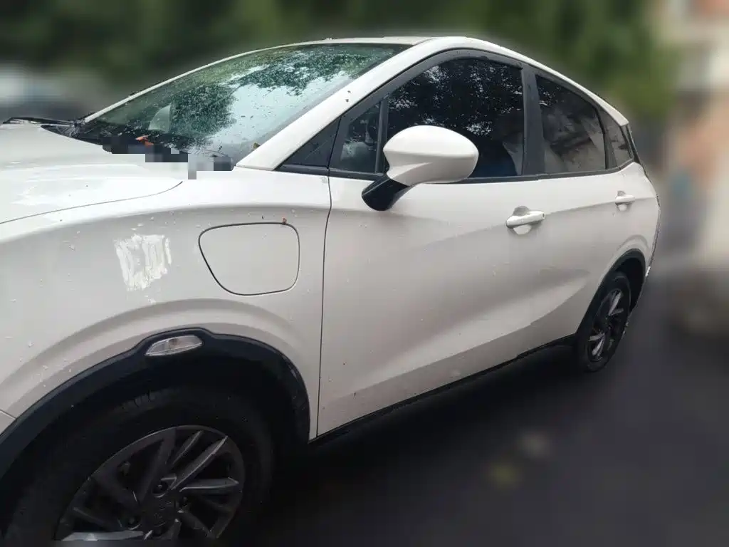 Neta V 2021