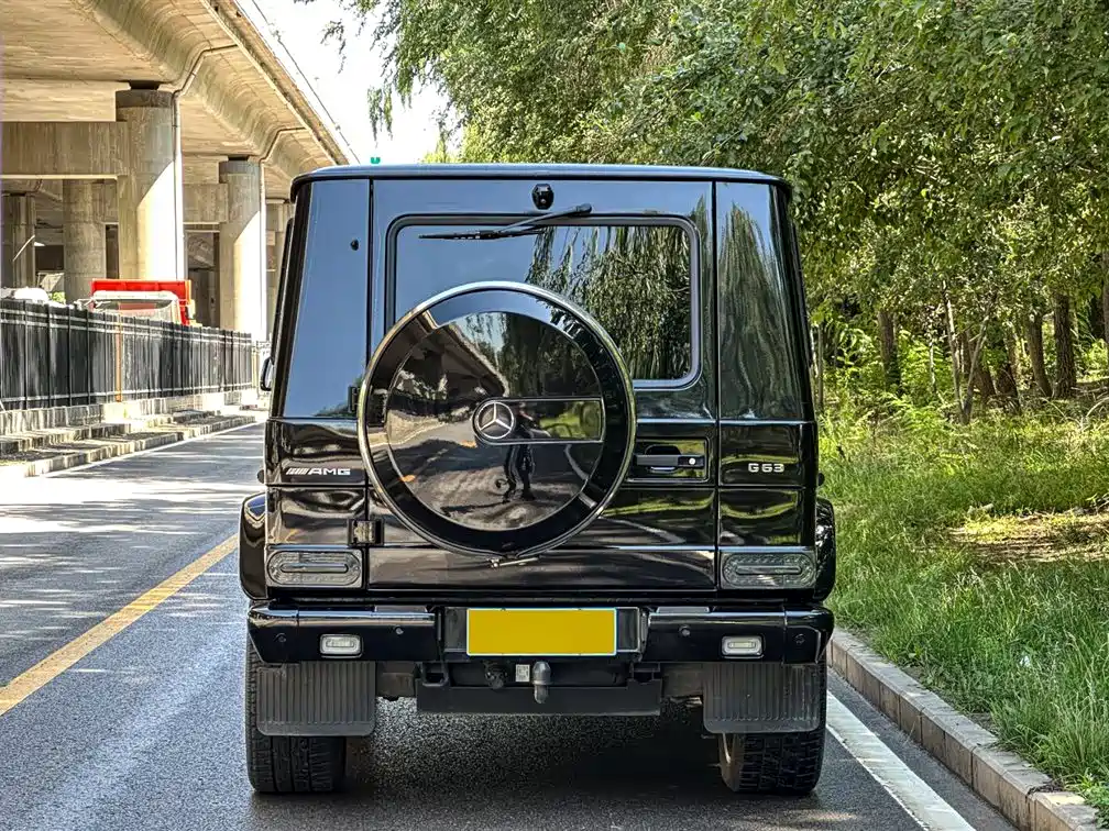 Mercedes-Benz G-Class 2018 — фото 4