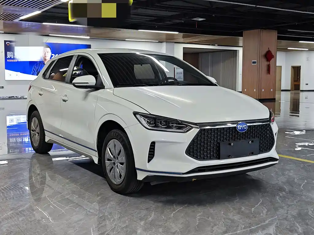 BYD e2 2021