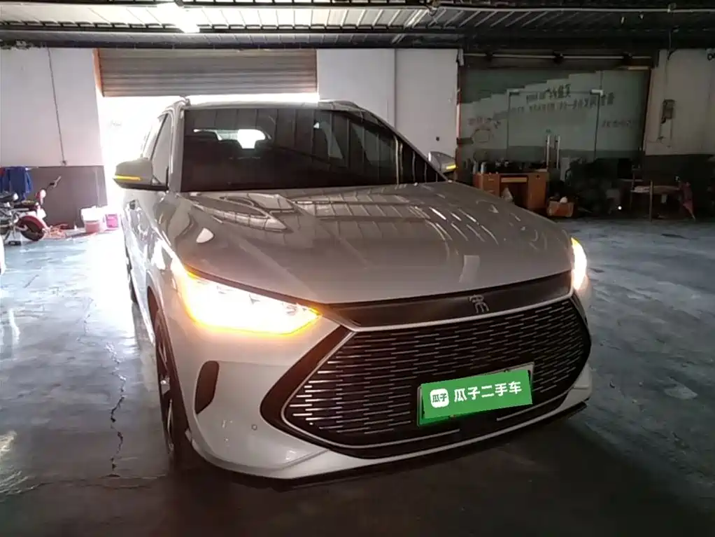 BYD PLUS New Energy 2023 — фото 4