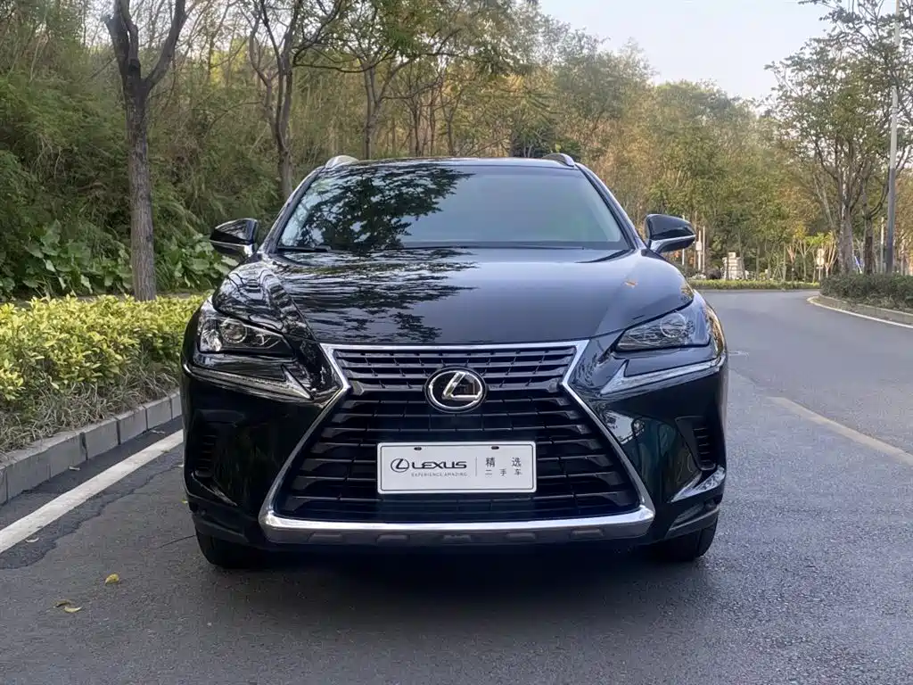 Lexus NX 2018 — фото 2