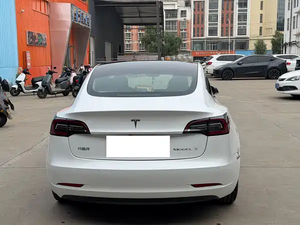 Tesla Model 3 2020