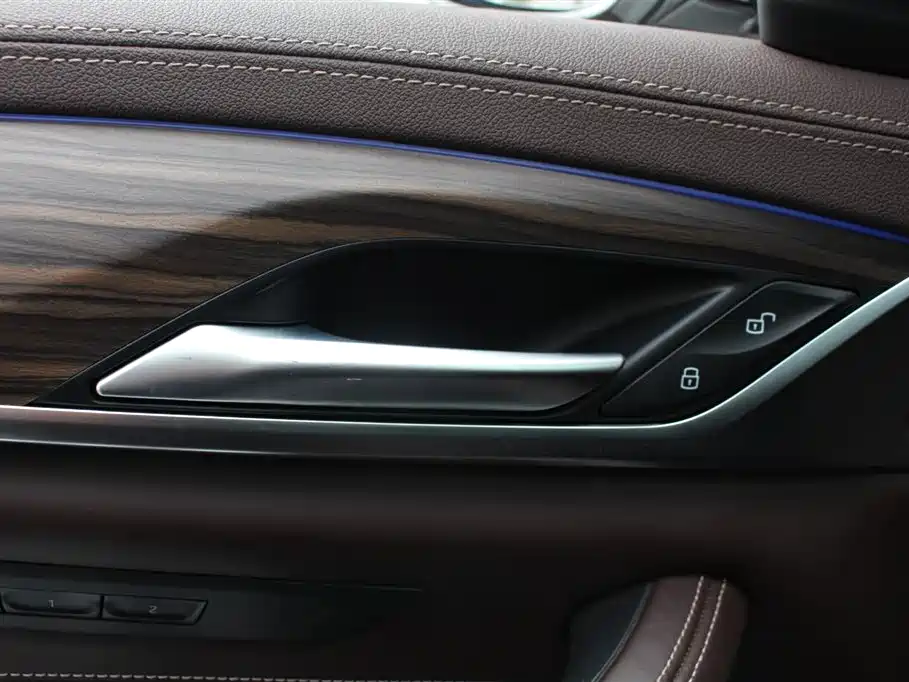 BMW 5 Series New Energy 2020