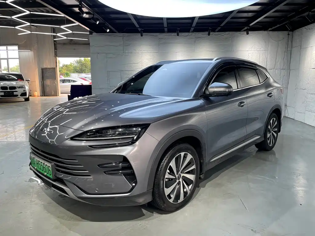 BYD Song PLUS New Energy 2023 — фото 1