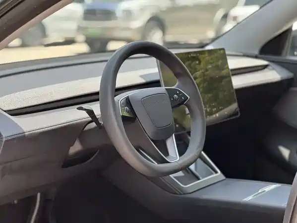 Tesla Model Y 2025