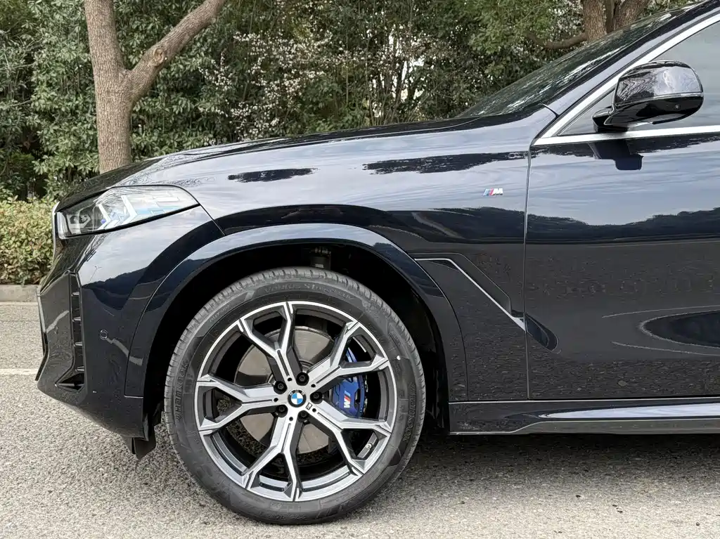 BMW X6 2025 — фото 23
