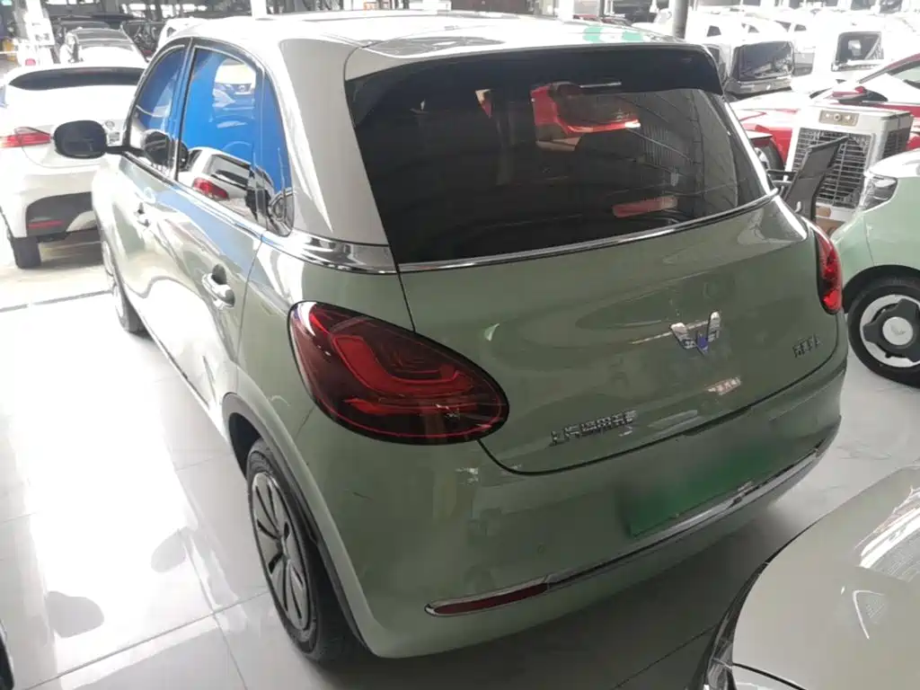 Wuling Bingo 2024