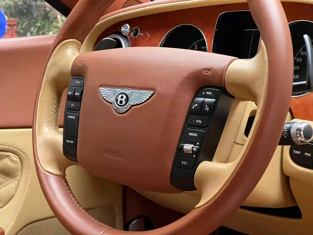 Bentley Continental 2009 — фото 7
