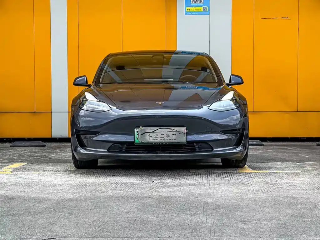 Tesla Model 3 2021 — фото 2