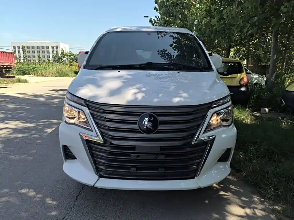 Dongfeng Lingzhi 2022
