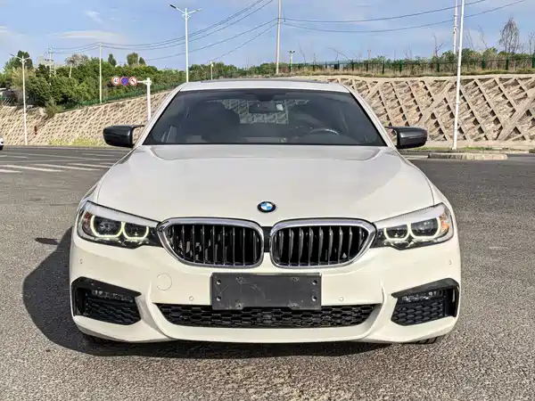 BMW 5 Series 2019