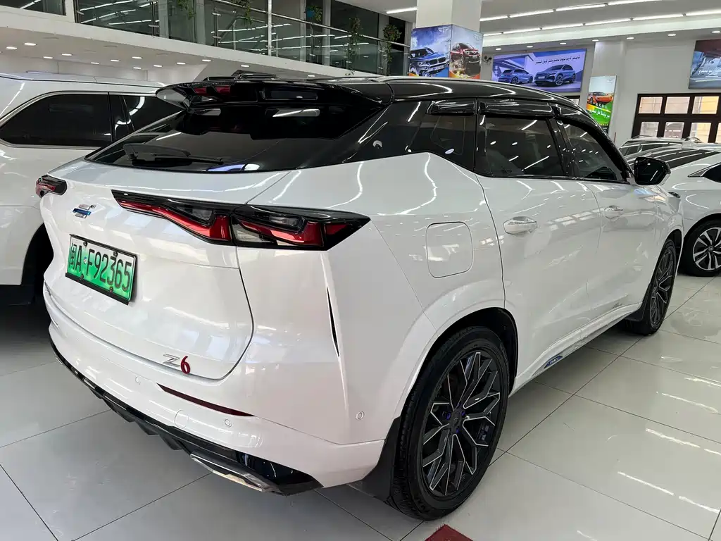 Oshan Oushang Z6 New Energy 2023 — фото 9
