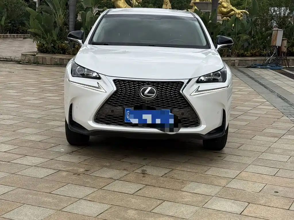 Lexus NX 2016 — фото 2