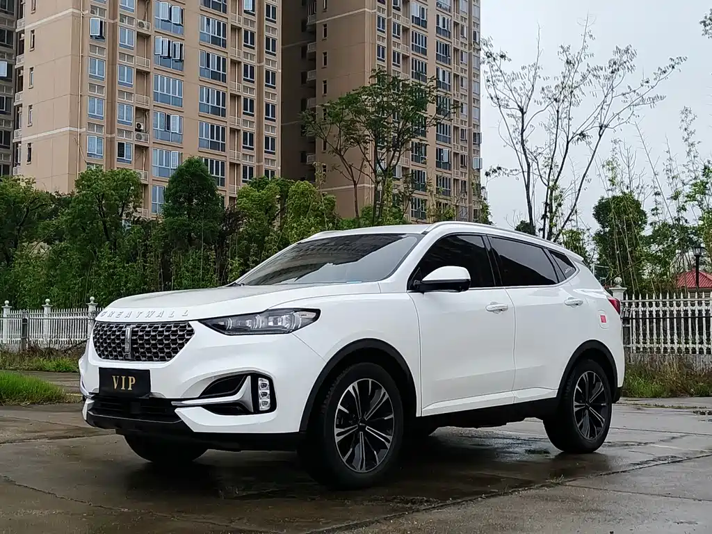 Wey VV6 2021