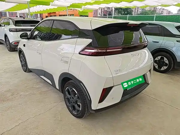 BYD Seagull 2025