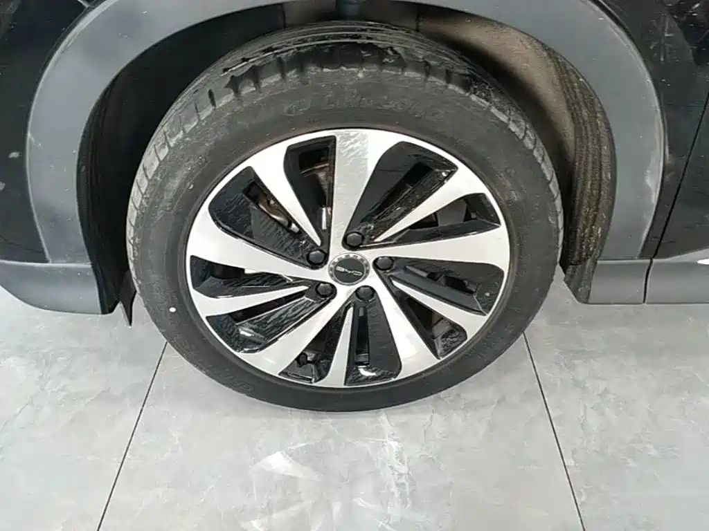 BYD Song PLUS New Energy 2024 — фото 23