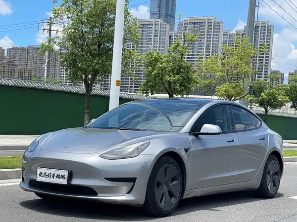 Tesla Model 3 2021