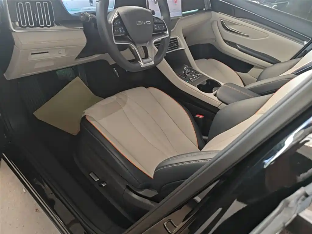 BYD PLUS New Energy 2024 — фото 15