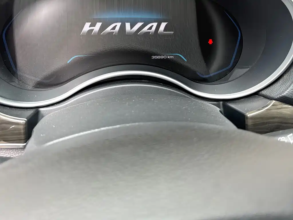 Haval H9 2023 — фото 8