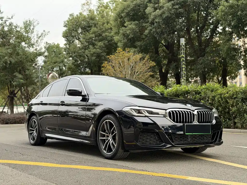 BMW 5 Series New Energy 2021 — фото 3