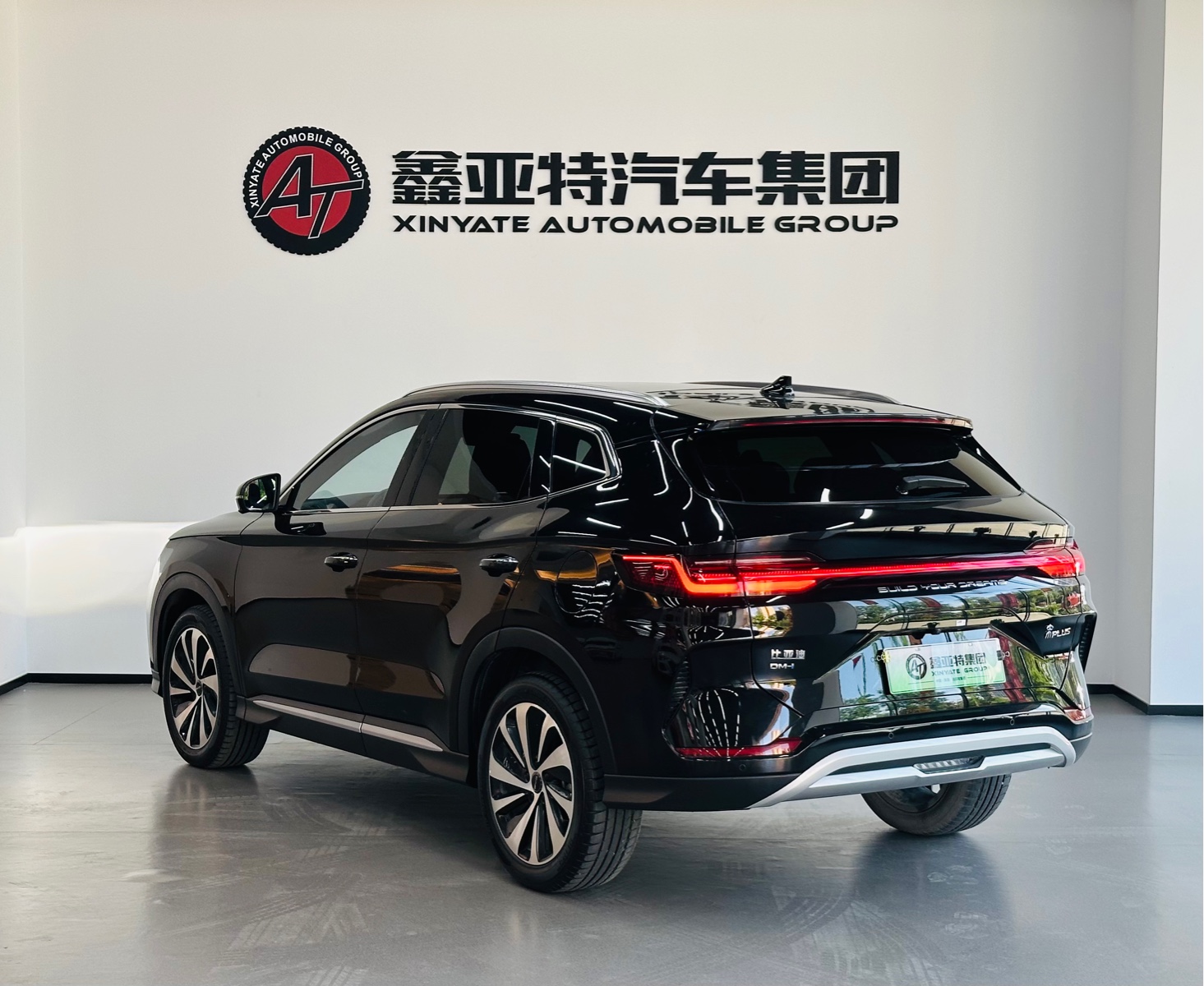 BYD PLUS New Energy 2024 — фото 4