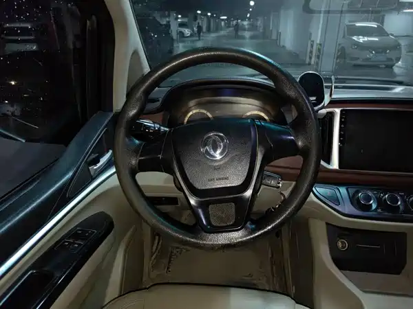 Dongfeng Lingzhi 2018