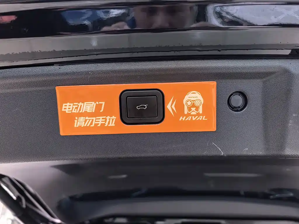 Haval Big Dog PLUS New Energy 2024 — фото 17