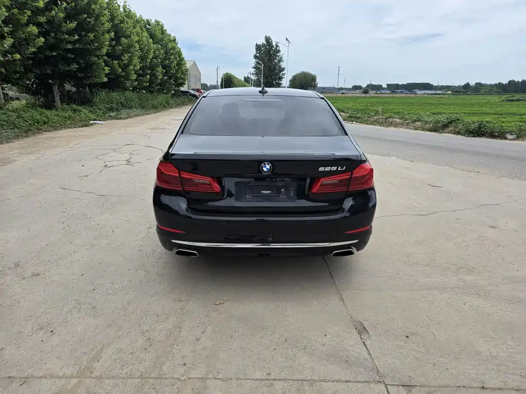 BMW 5 Series 2019