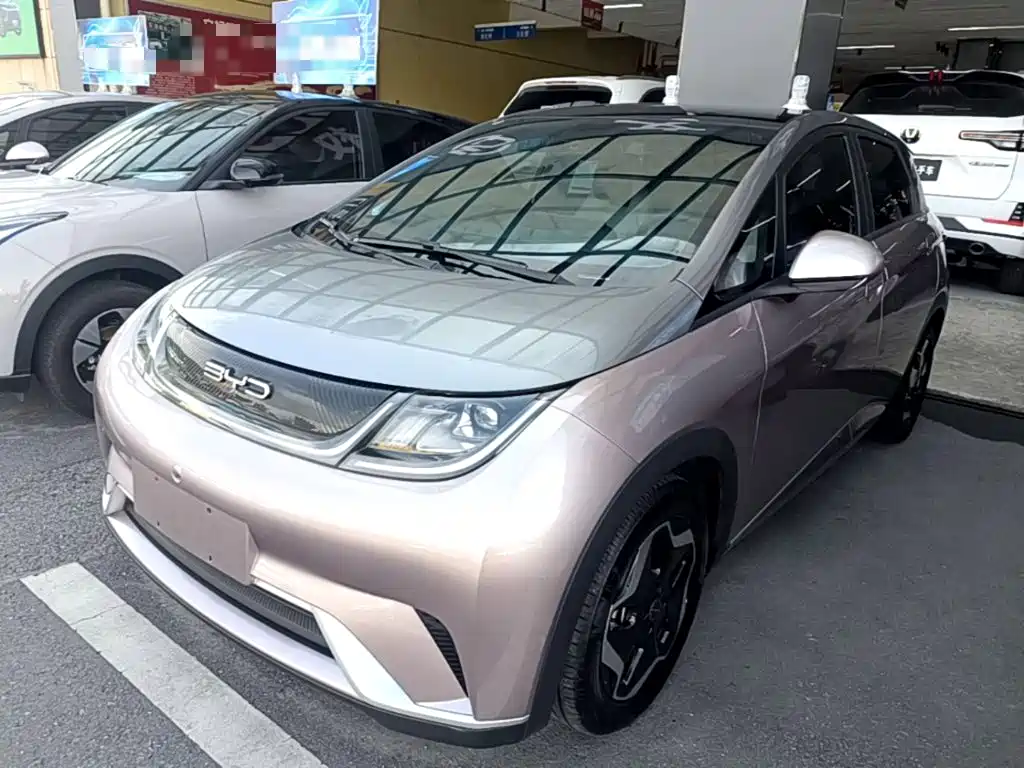 BYD Dolphin 2022