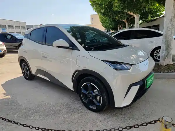 BYD Seagull 2024