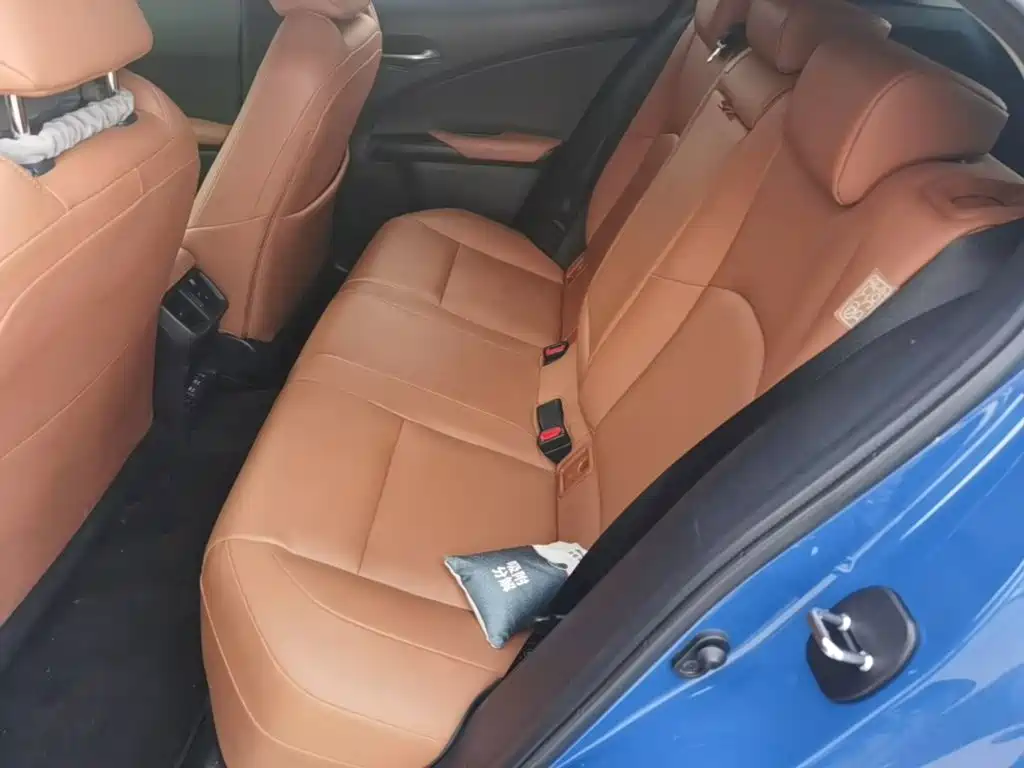 Lexus UX New Energy 2020 — фото 17