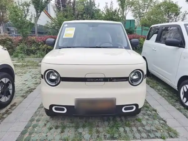 Geely Galaxy Panda 2025