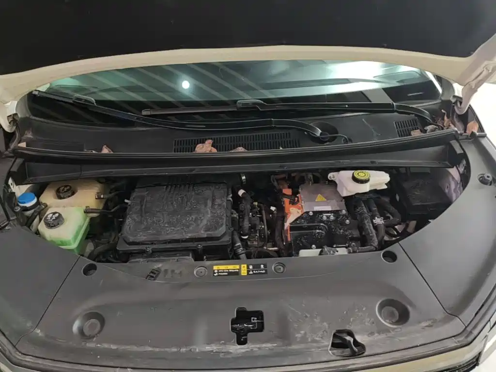 GAC Trumpchi E9 2023 — фото 20