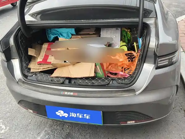 BYD Destroyer 05 2024