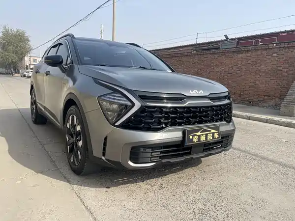 Kia Lion Platinum Expands The Boundary 2023