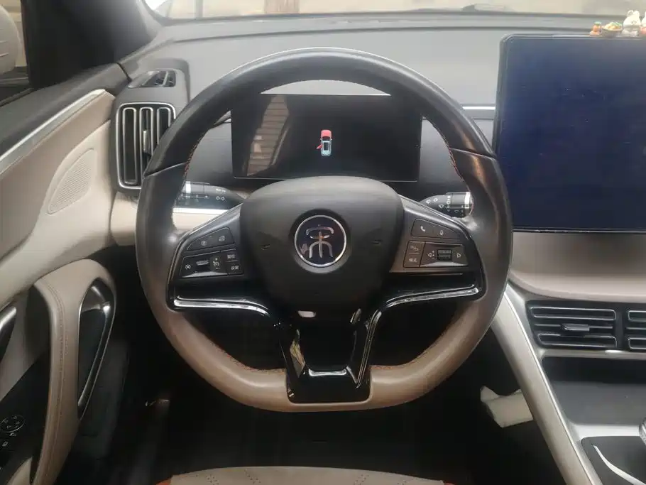 BYD Song Pro New Energy 2024 — фото 15