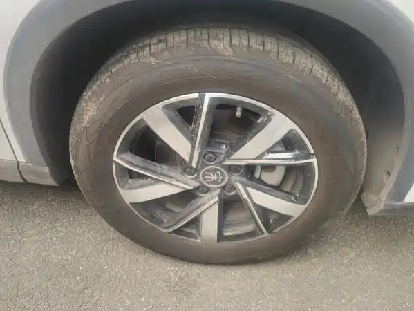 BYD Song Pro New Energy 2024
