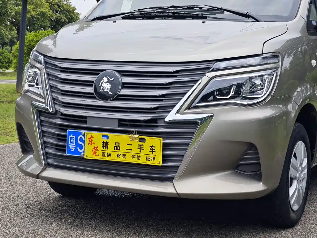 Fengxing Lingzhi 2023