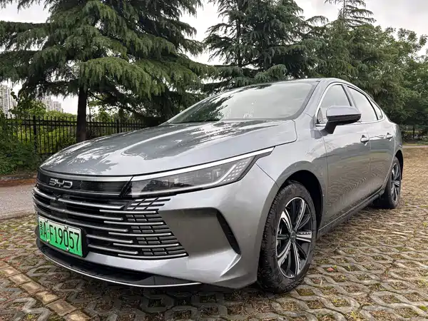 BYD Destroyer 05 2024