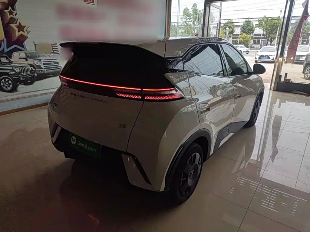 BYD Seagull 2024
