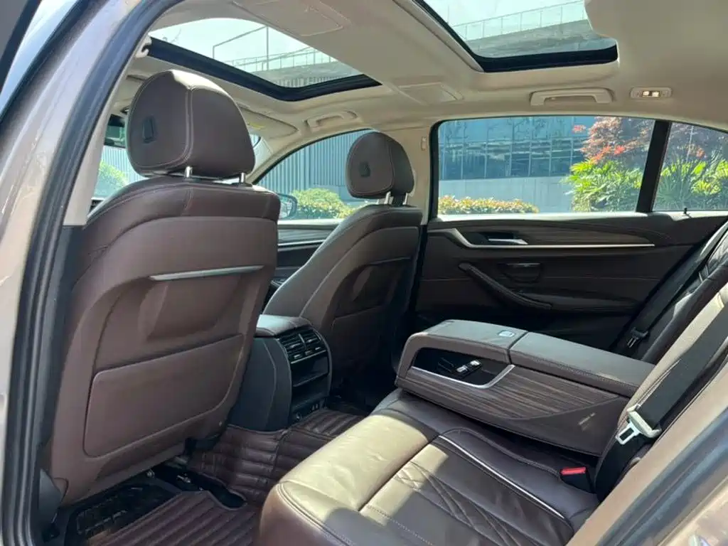 BMW 5 Series New Energy 2020