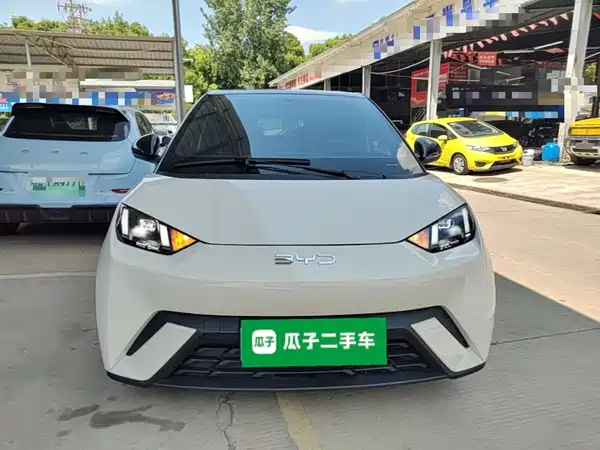 BYD Seagull 2024