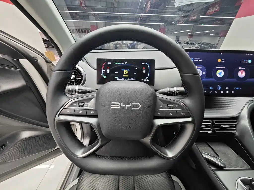 BYD Sealion 05 DM-i 2024 — фото 8