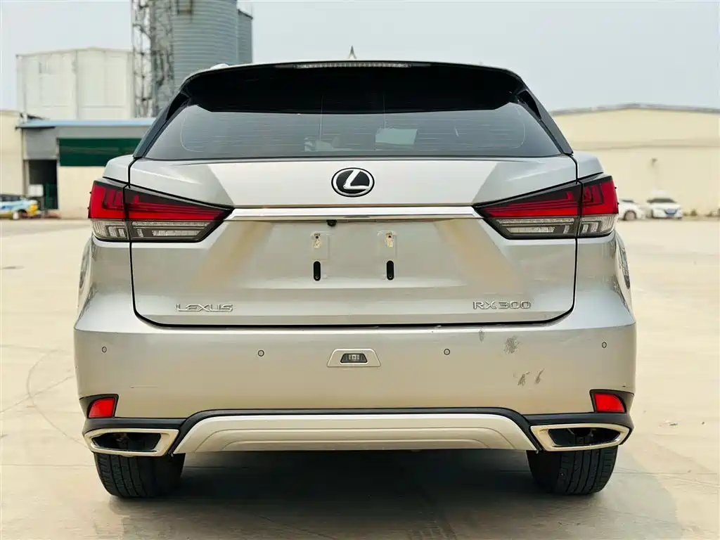 Lexus RX 2022 — фото 4