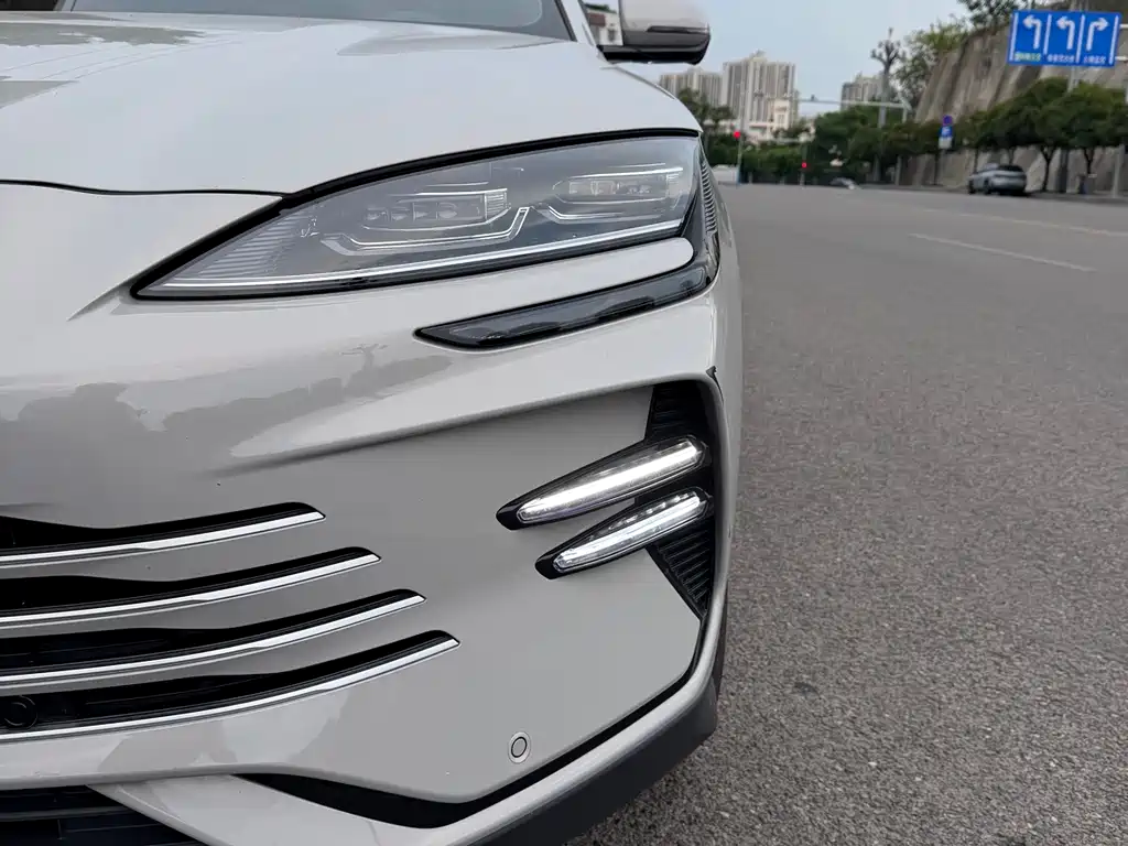 BYD Song PLUS New Energy 2025 — фото 11