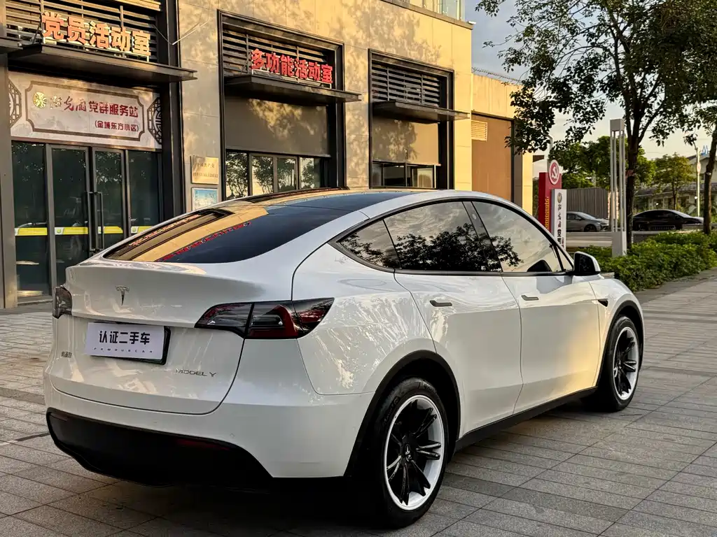 Tesla Model Y 2021 — фото 11