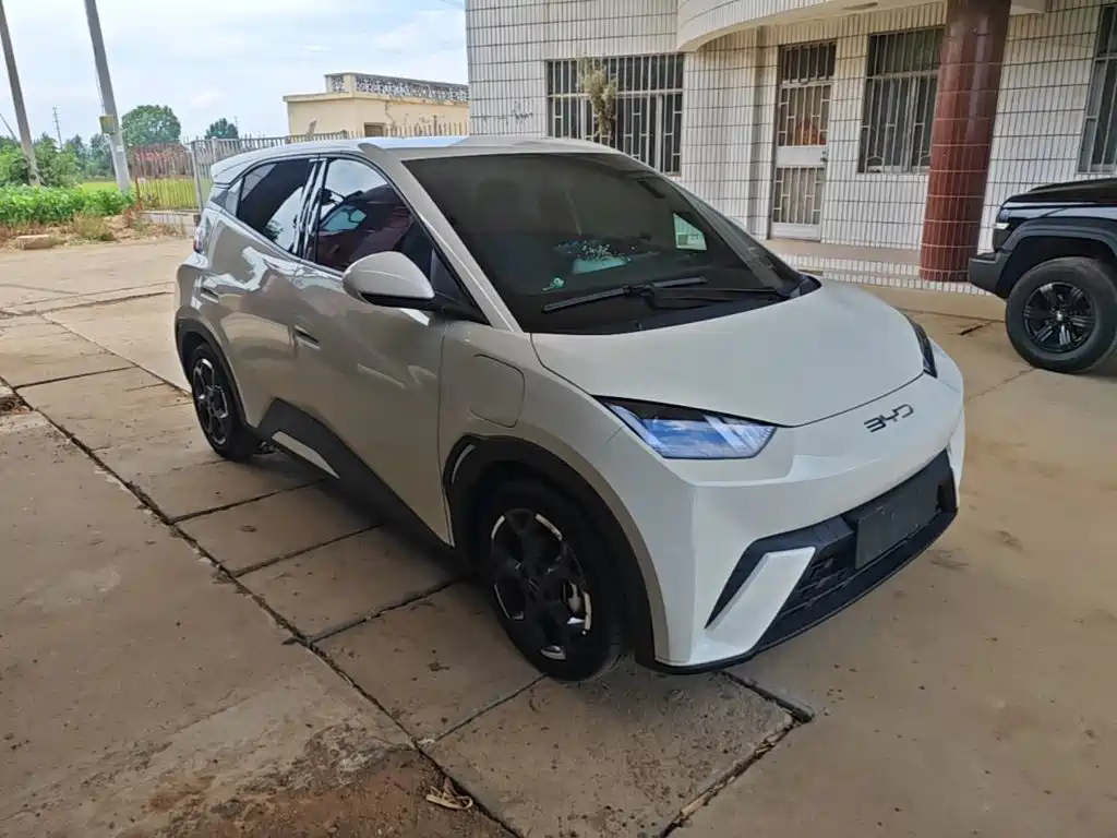 BYD Seagull 2025