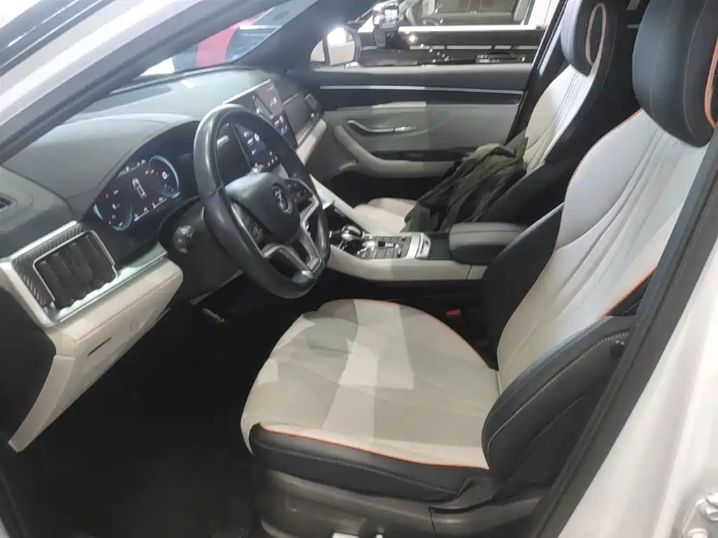 BYD PLUS New Energy 2022 — фото 15