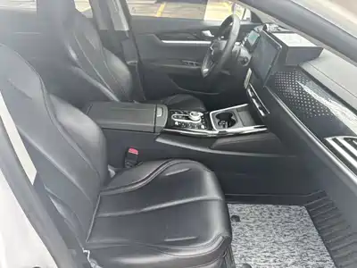 BYD Qin PLUS 2021