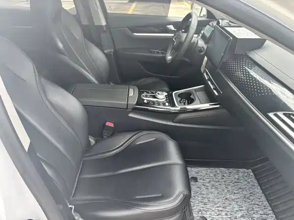 BYD Qin PLUS 2021